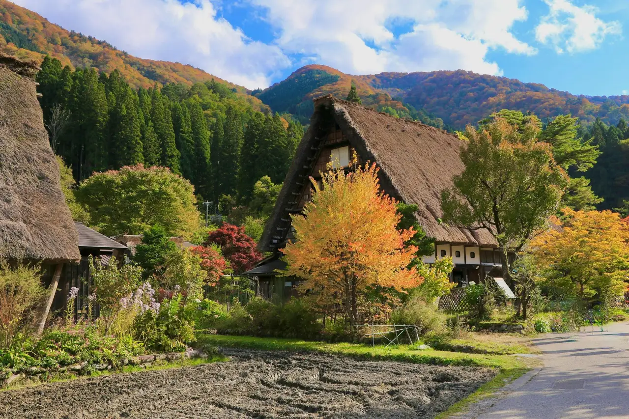 Voyage en Asie – Ruelle traditionnelle pavée bordée de maisons en bois historiques de l'époque d'Edo à Takayama au Japon.