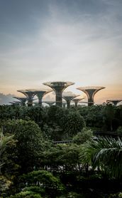 Travel in Asia - The Supertree Grove sculptures in Singapore from a distance