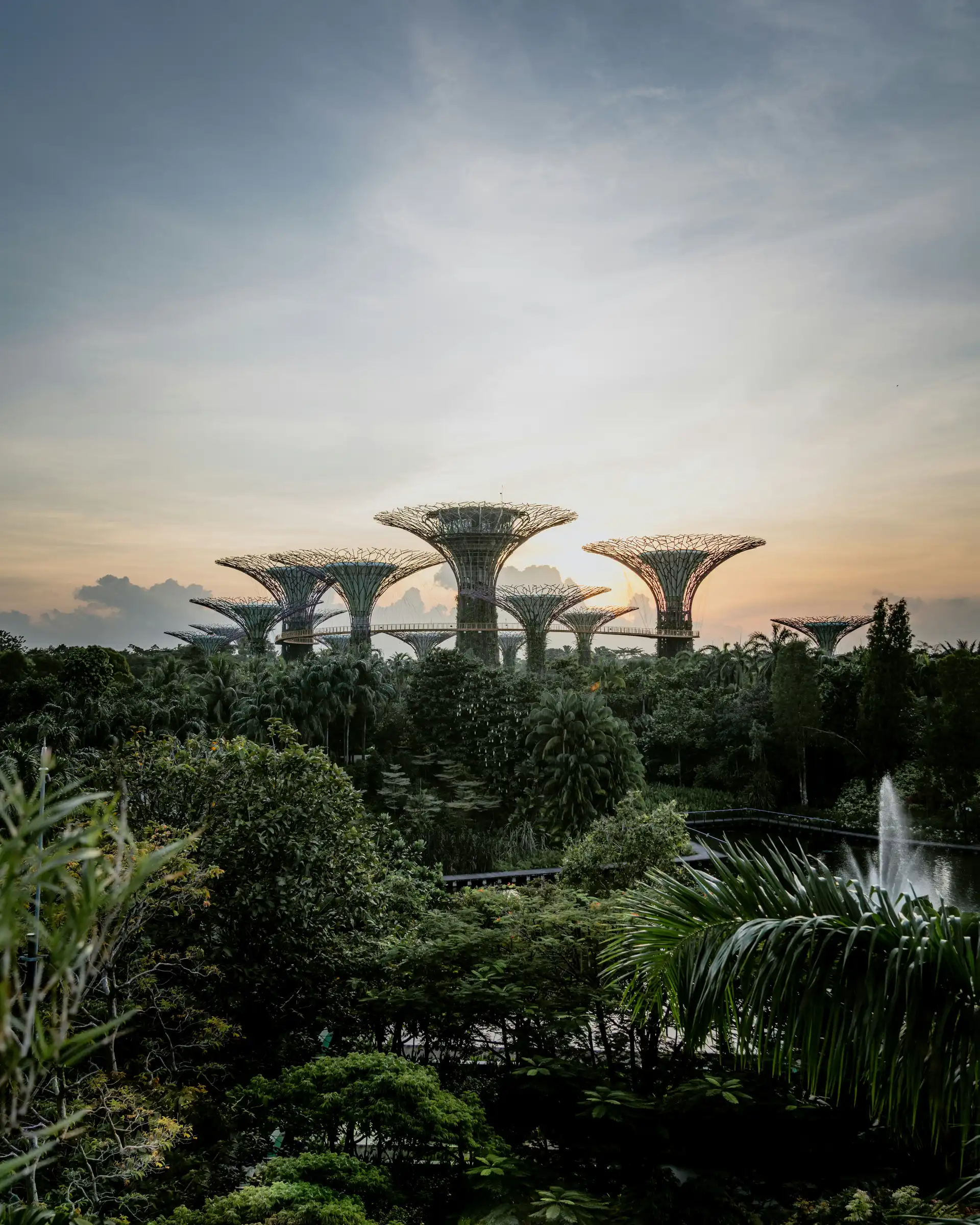 Guide voyage Singapour – Vue panoramique sur le Supertree Grove et la végétation tropicale de Gardens by the Bay au soleil couchant.