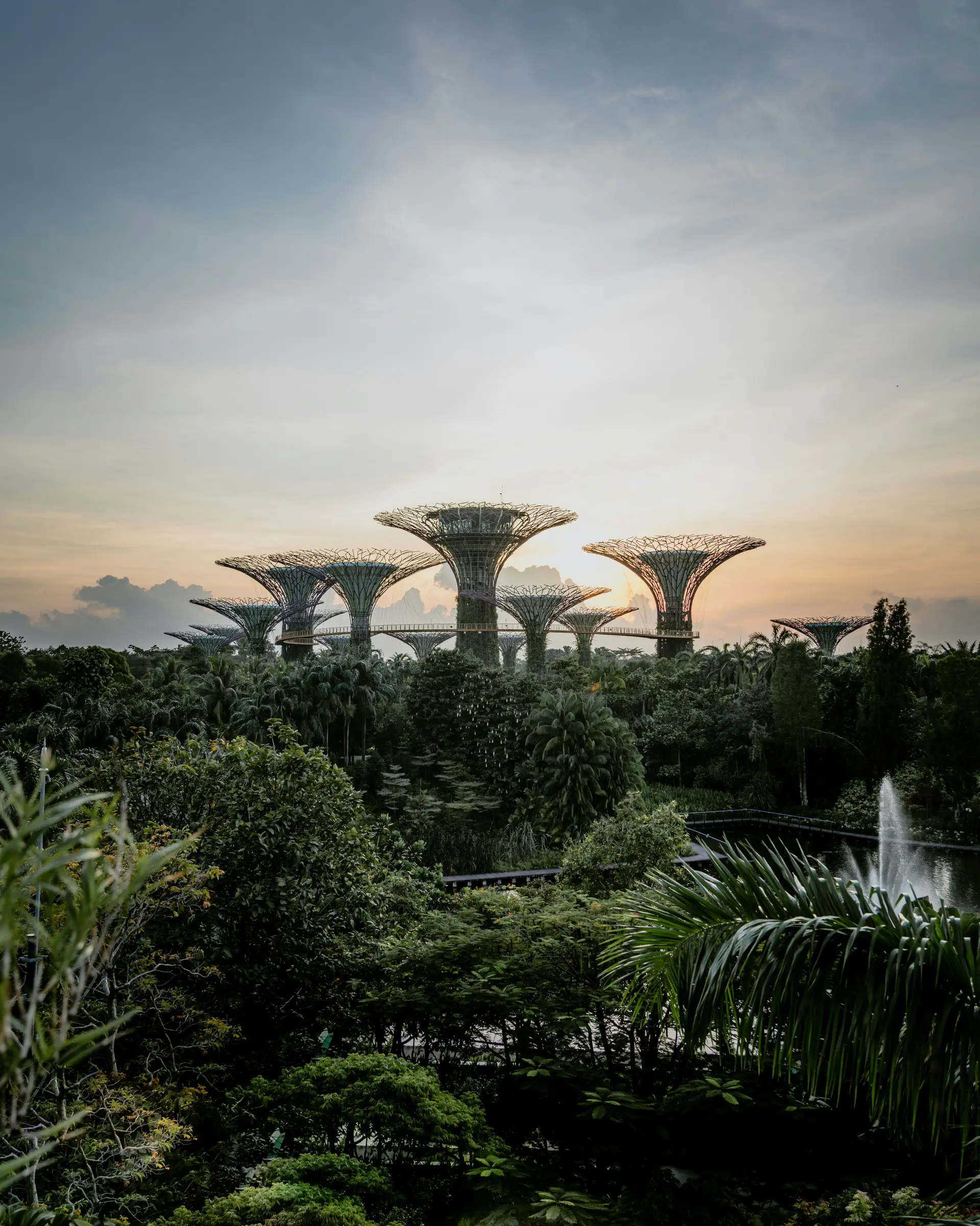 Travel in Asia - The Supertree Grove sculptures in Singapore from a distance