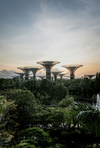 Travel in Asia - The Supertree Grove sculptures in Singapore from a distance