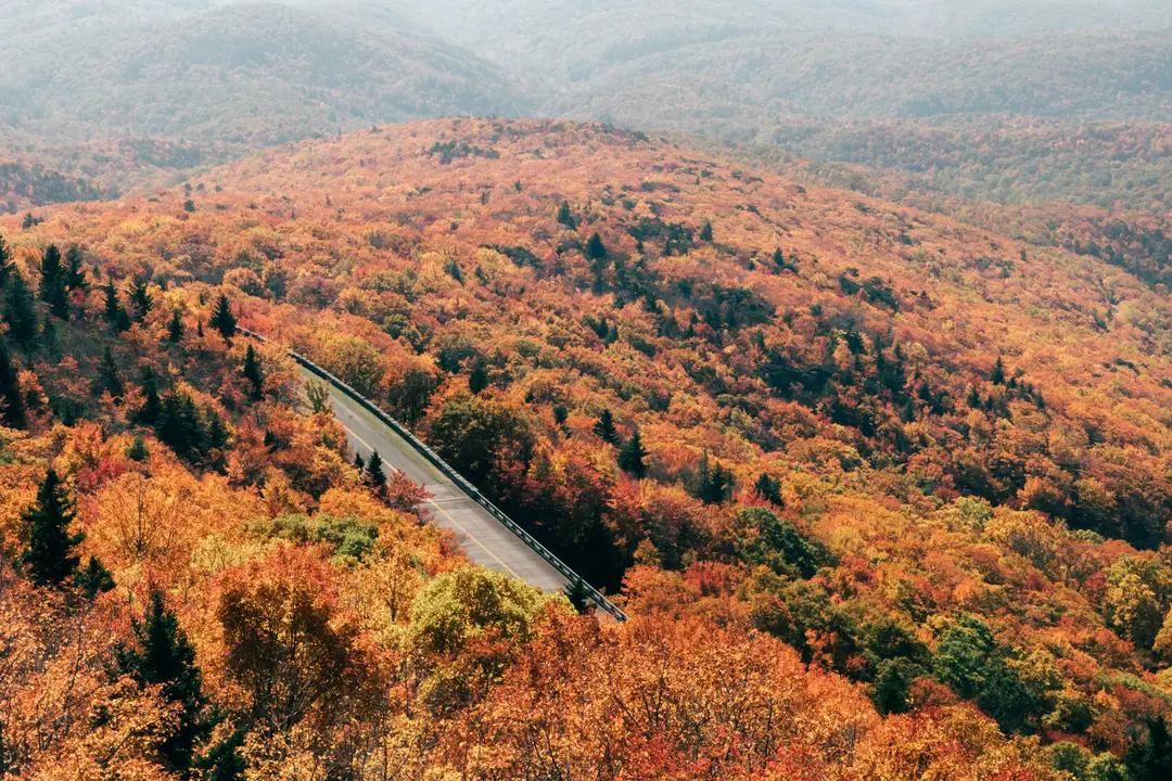 La Blue Ridge Parkway serpente à travers les Appalaches, dans l’est des États-Unis, au milieu des couleurs automnales.