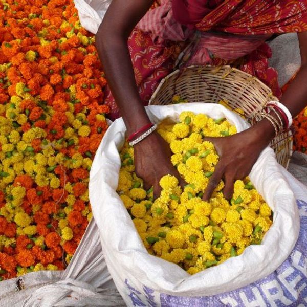 bruno-maltor-decouverte-inde