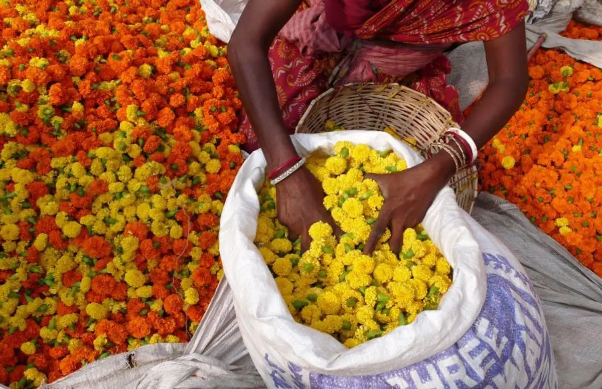 bruno-maltor-decouverte-inde