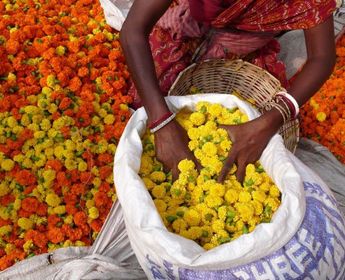 bruno-maltor-decouverte-inde