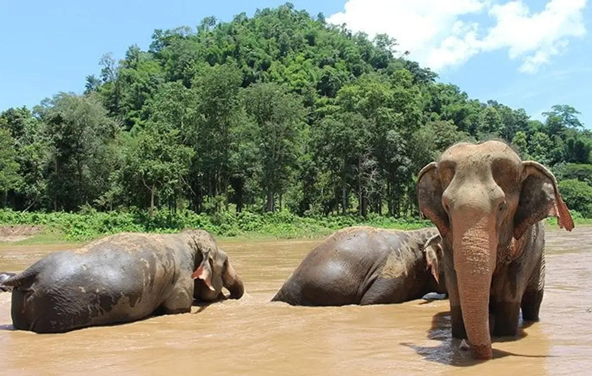 grand-tour-of-southeast-asia