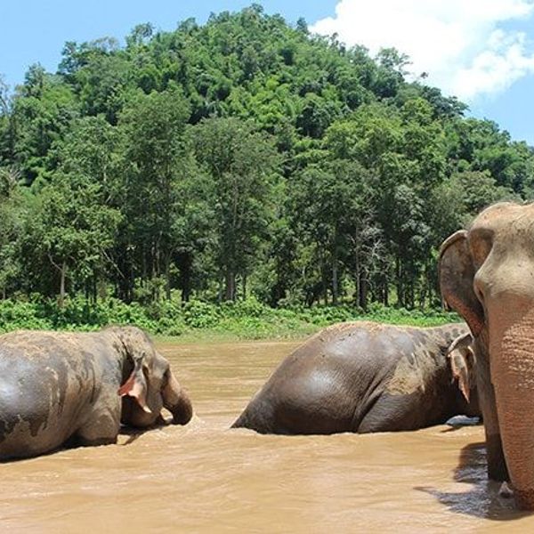 grand-tour-of-southeast-asia