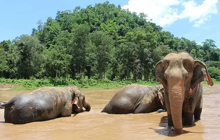 grand-tour-of-southeast-asia