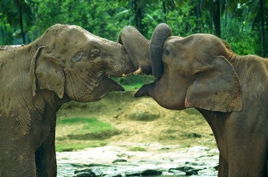 the-sri-lankan-peninsulas-from-kalpitiya-to-jaffna