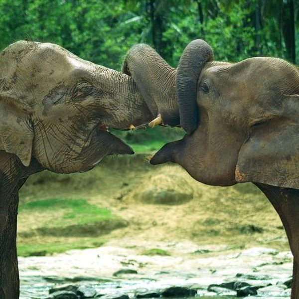 the-sri-lankan-peninsulas-from-kalpitiya-to-jaffna