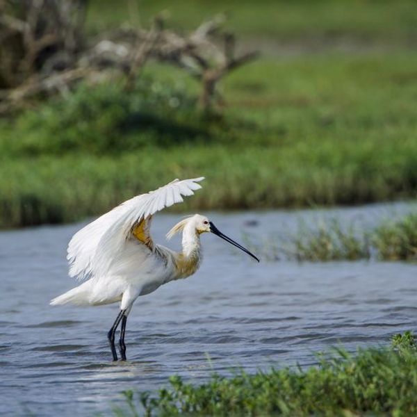 ceylon-nature-and-wildlife