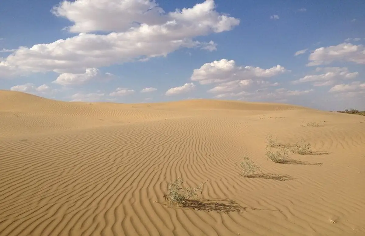 decouverte-du-shekhawati-cheval