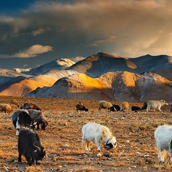 montagnes-monasteres-tibet-central