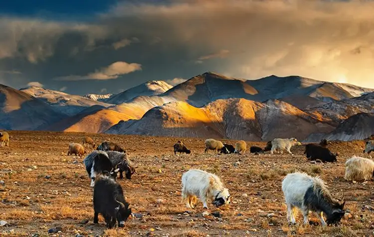 montagnes-monasteres-tibet-central