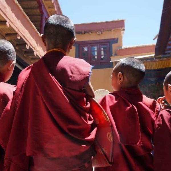 au-fil-du-pashmina-1