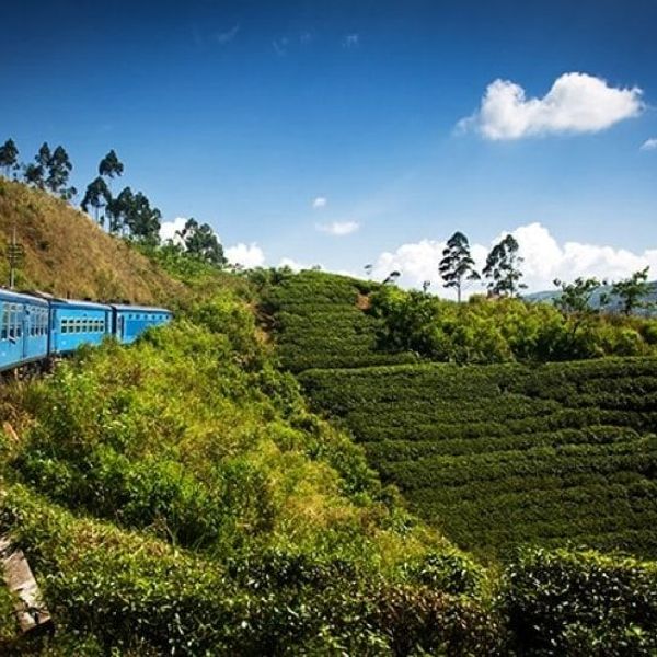 decouverte-charmes-sri-lanka