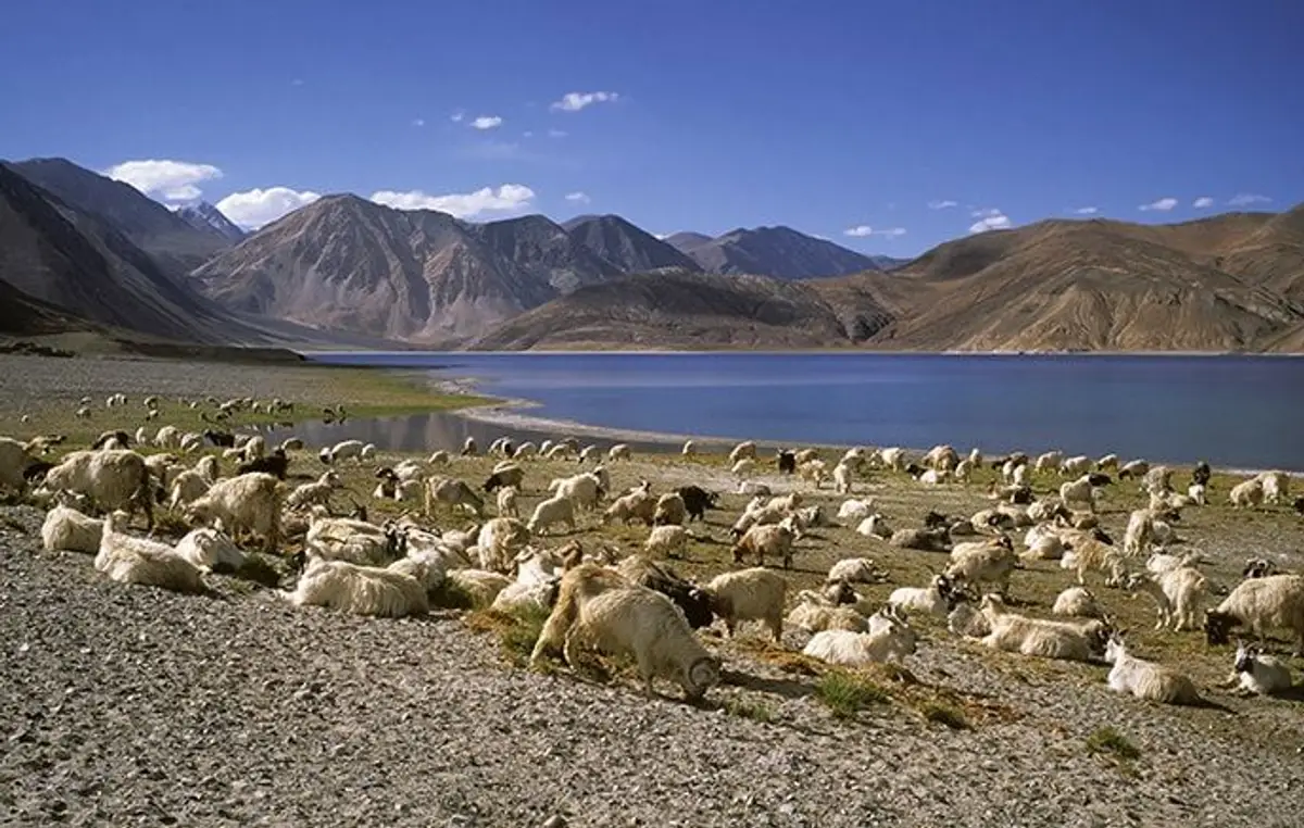du-rupshu-au-spiti-par-le-parang-la