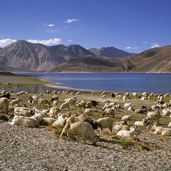 du-rupshu-au-spiti-par-le-parang-la