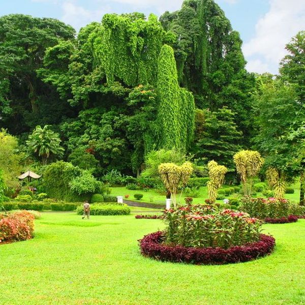 nature-and-culture-of-sri-lanka