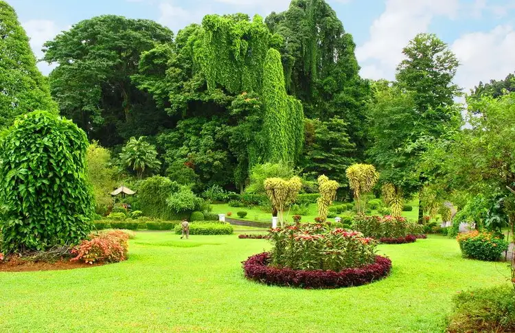 nature-and-culture-of-sri-lanka