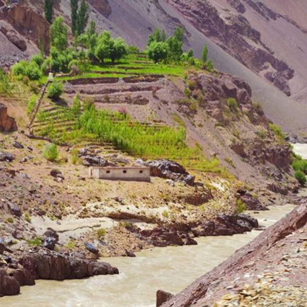 on-the-tracks-of-the-yeti