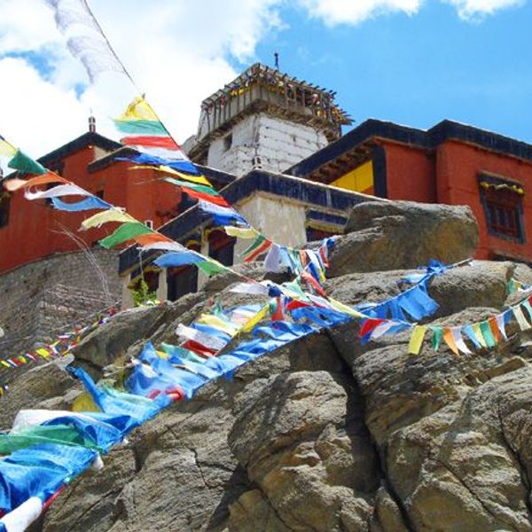 on-the-tracks-of-the-yeti