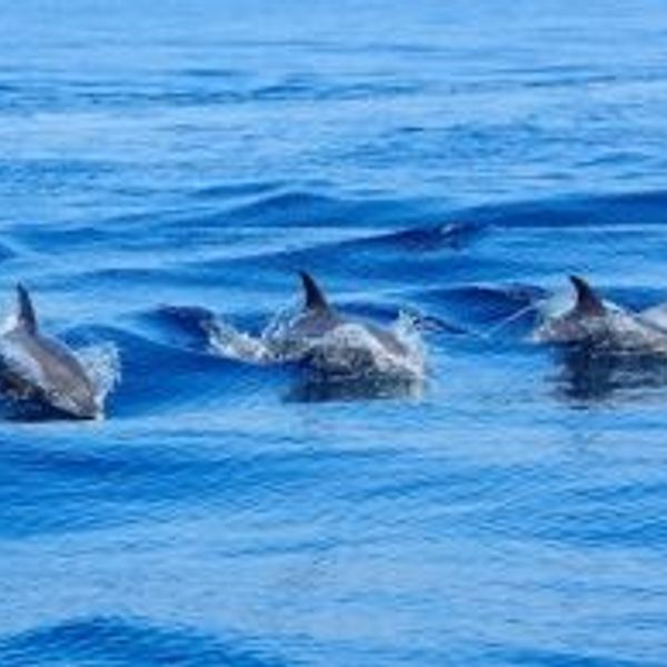 sri-lanka-trhill-past-present