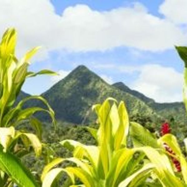 martinique-sur-la-route-du-rhum