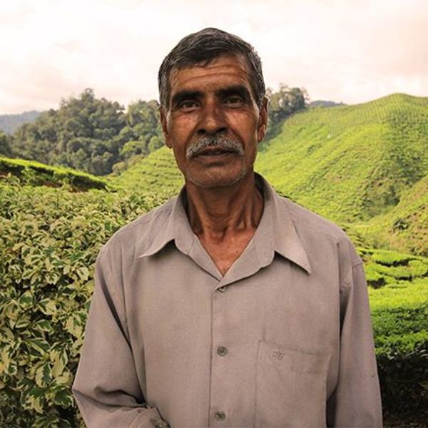 immersion-culturelle-malaisie