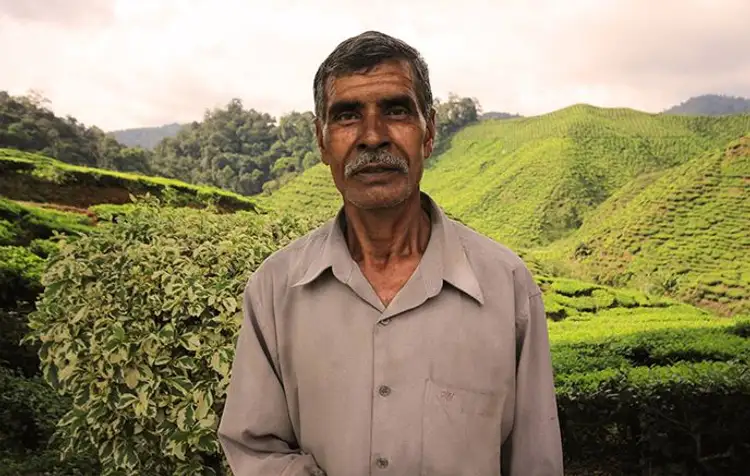 immersion-culturelle-malaisie