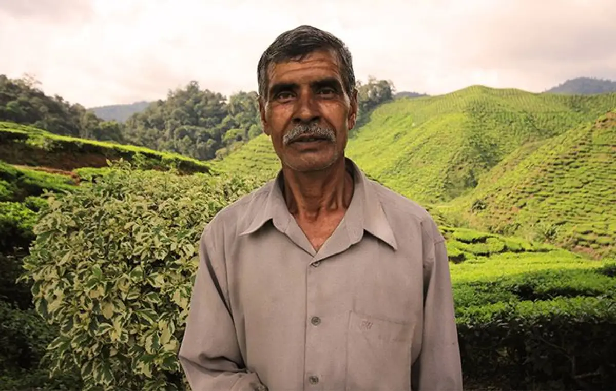 immersion-culturelle-malaisie