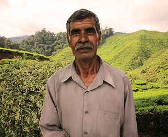 immersion-culturelle-malaisie