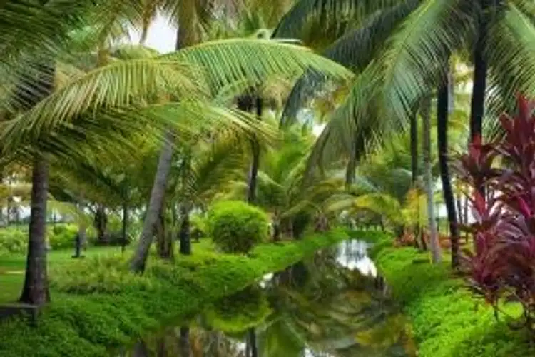 cycle-through-kerala