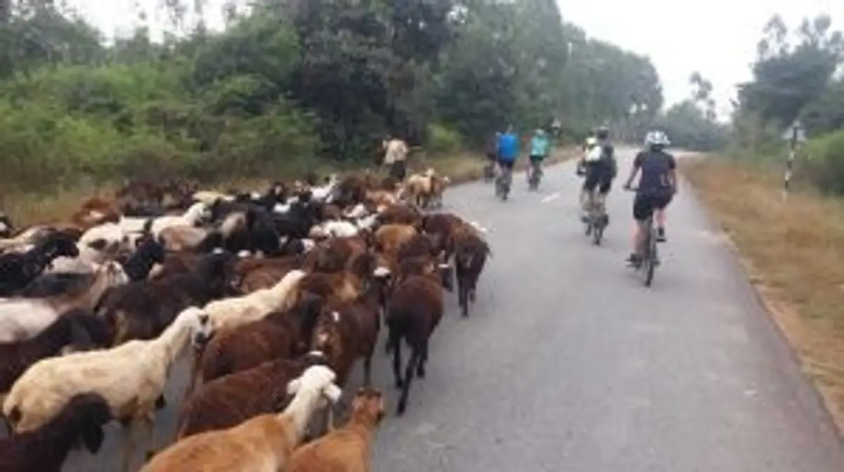 cycle-through-kerala