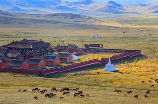 grand-tour-mongolie