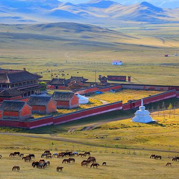 grand-tour-mongolie