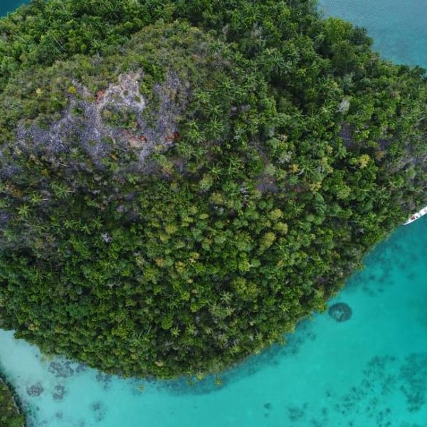 croisiere-raja-ampat
