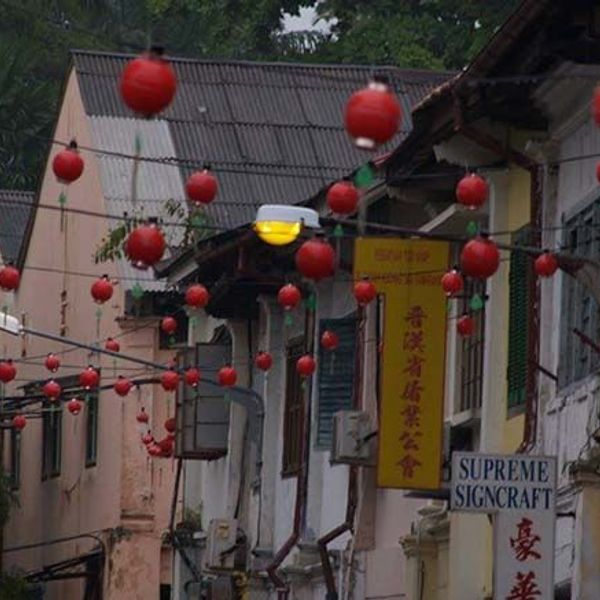 safari-vie-sauvage-borneo