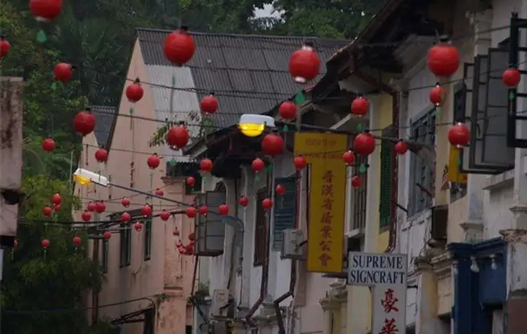 safari-vie-sauvage-borneo