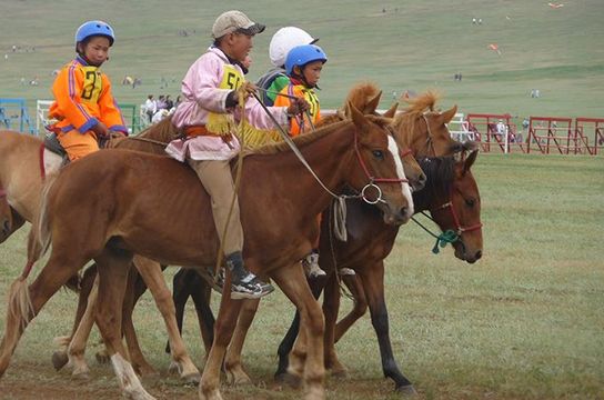 grand-tour-mongolie