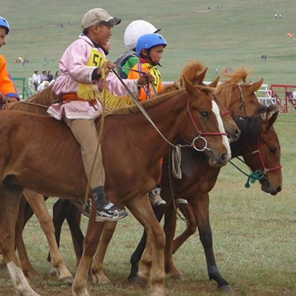 grand-tour-mongolie