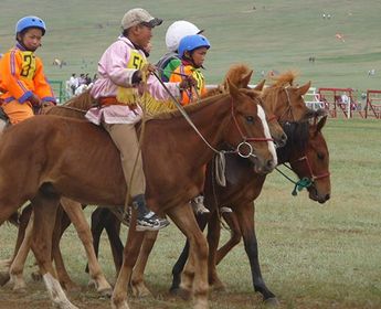 grand-tour-mongolie