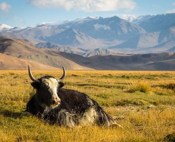 sur-les-sentiers-pamir
