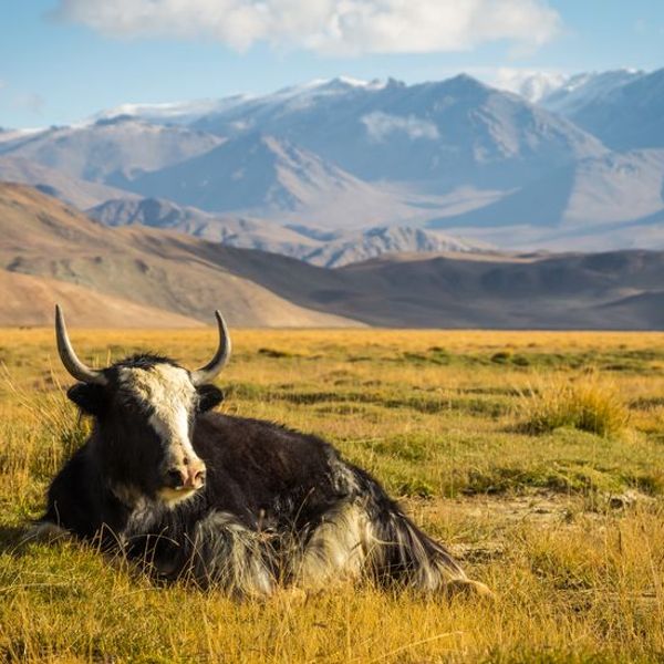 sur-les-sentiers-pamir