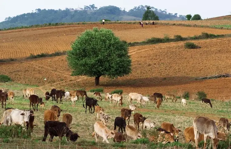 birmanie-en-famille