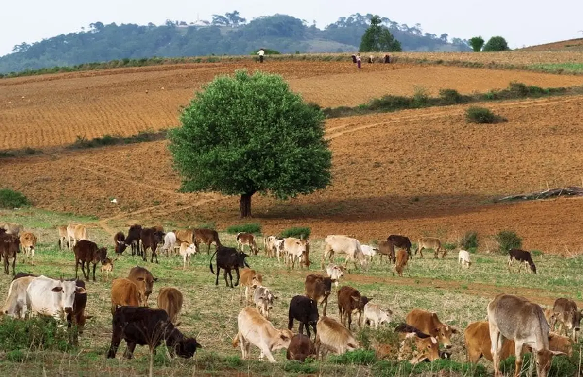 birmanie-en-famille