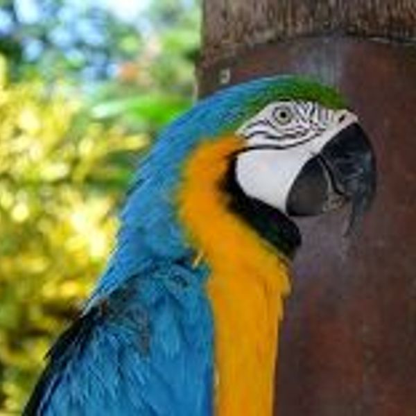 weekend-with-your-family-in-bali