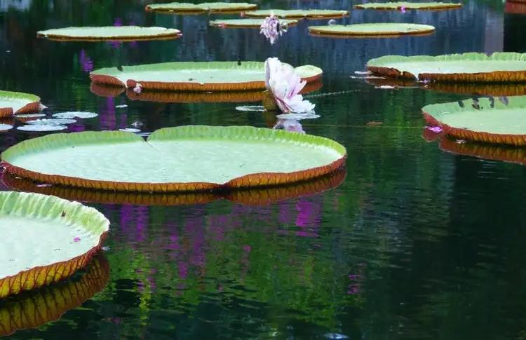 bali-in-the-heart-of-nature