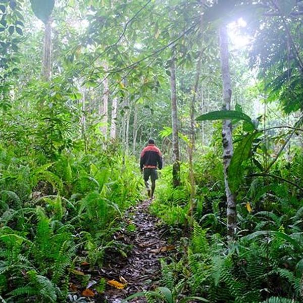 raja-ampat-archipelago-cruise