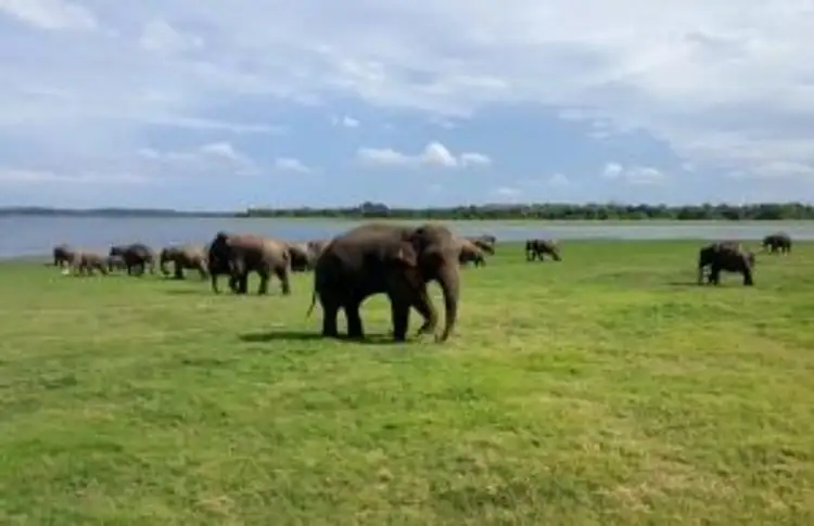 getaway-to-sri-lanka